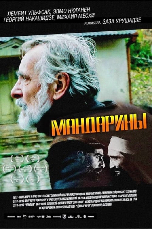  Мандарины 